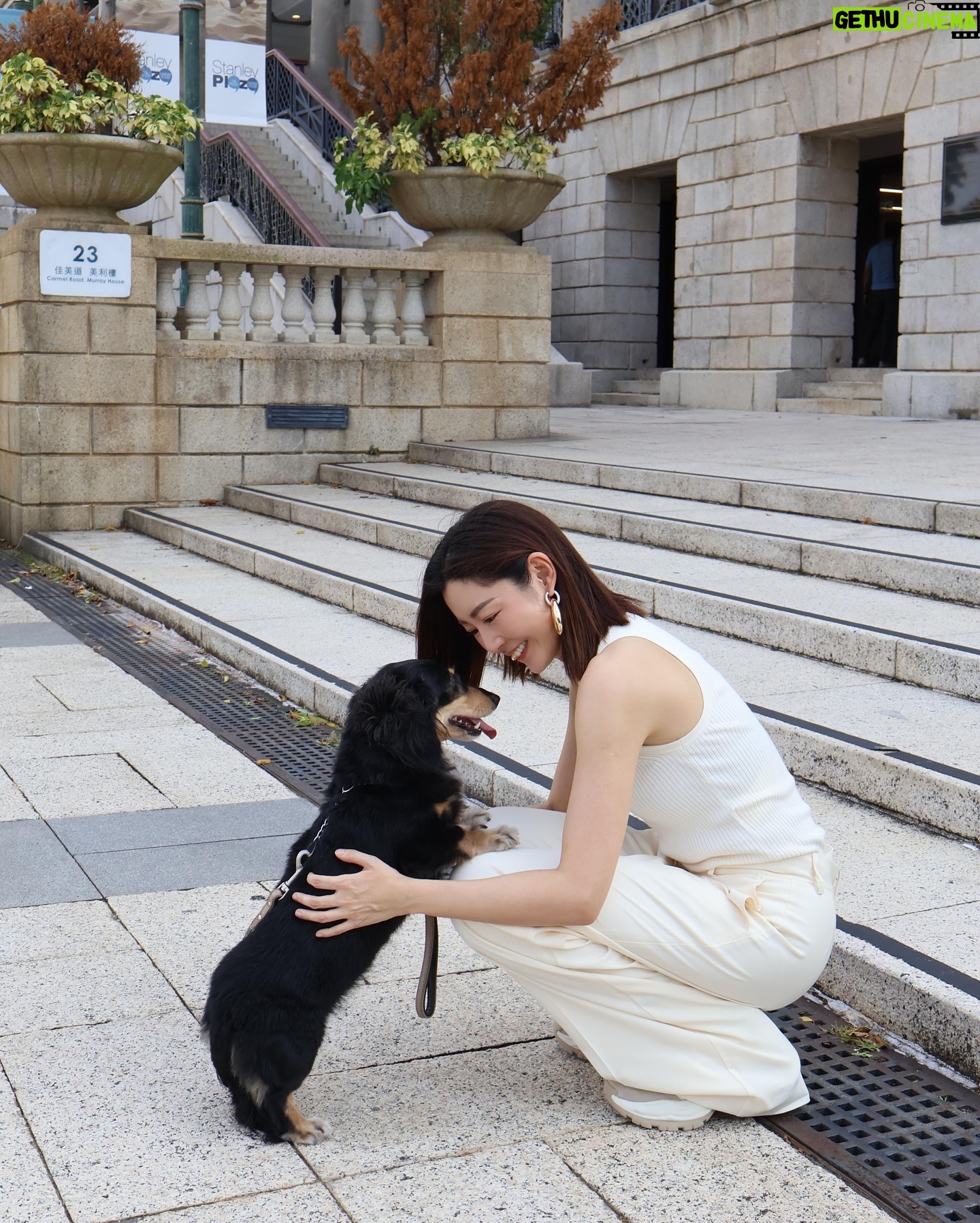 Michelle Wai - 6.5K Likes - Biru 帶我去散步🐕🦺
@weekendmaxmara
@weekendmaxmarahk
#WeekendMaxMara