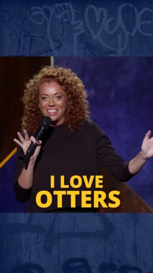 Michelle Wolf Instagram - @netflixisajoke