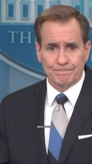 Michelle Wolf Instagram - Press conference interpreter.