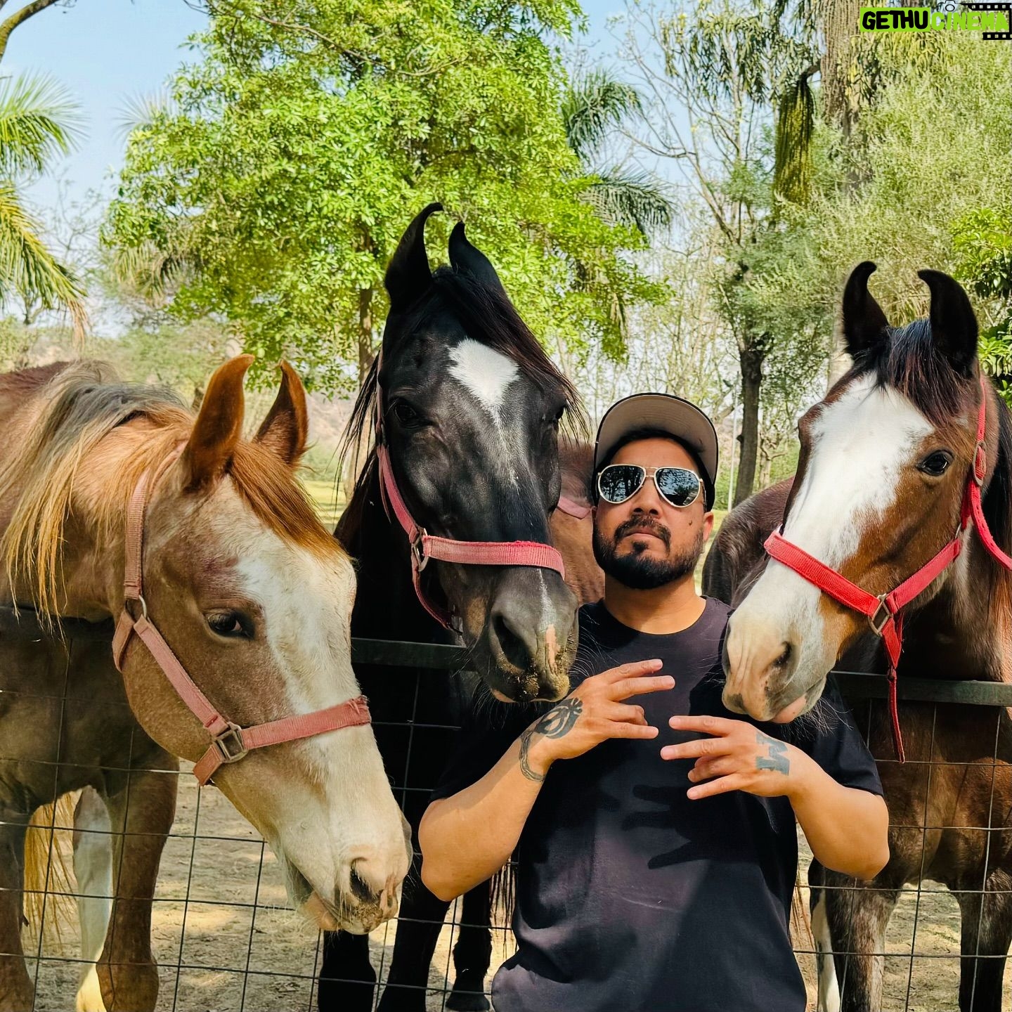 Mika Singh - 56.8K Likes - Chilling with best buddies:)
.
.
.
.
.
.
#mikasingh #richestsingermikasingh #mikasinghfarmhouse #mikasinghisland