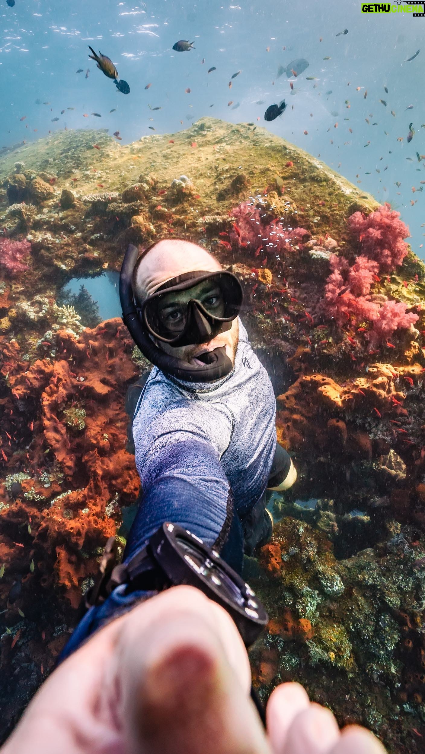 Mike Corey - 24.7K Likes - It’s been a wild ride! Here’s part one of my travel resume, trying to find the greatest adventure out there.
Is your favorite video in the top half or bottom half?
Which have you seen, which have you missed? 🐉