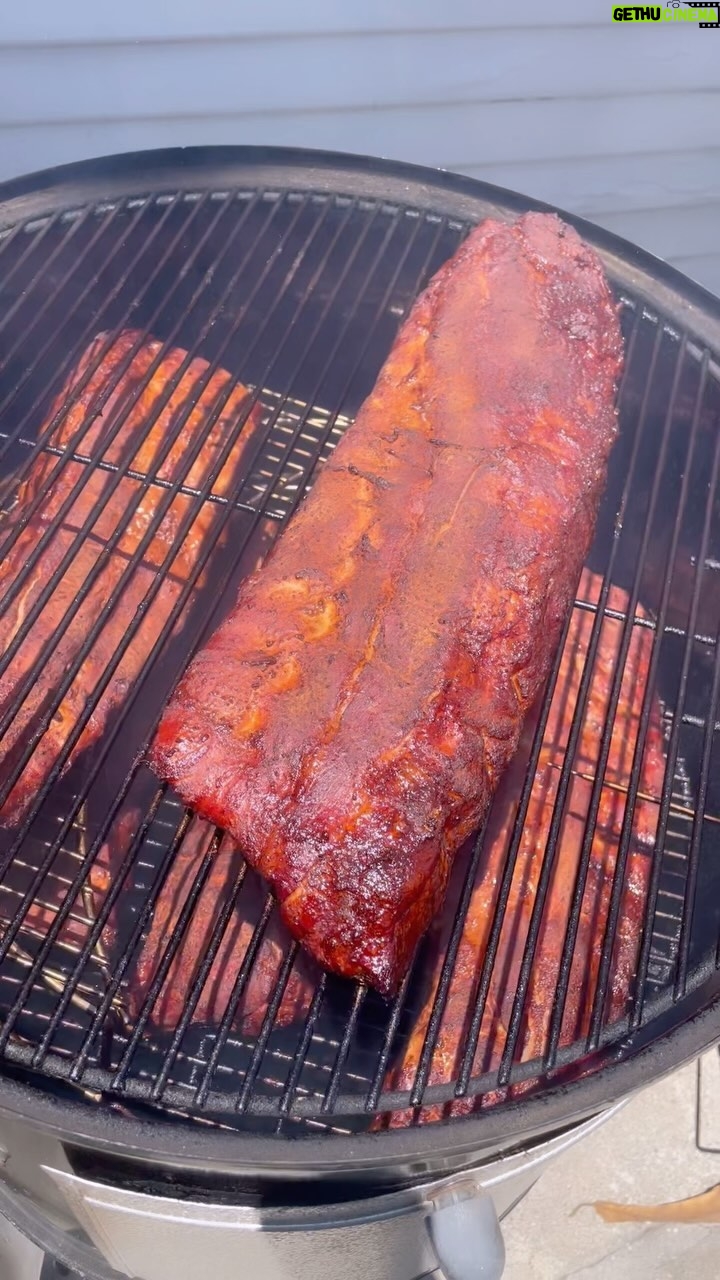Mike Pecci - 166 Likes - Smoking Babyback Ribs