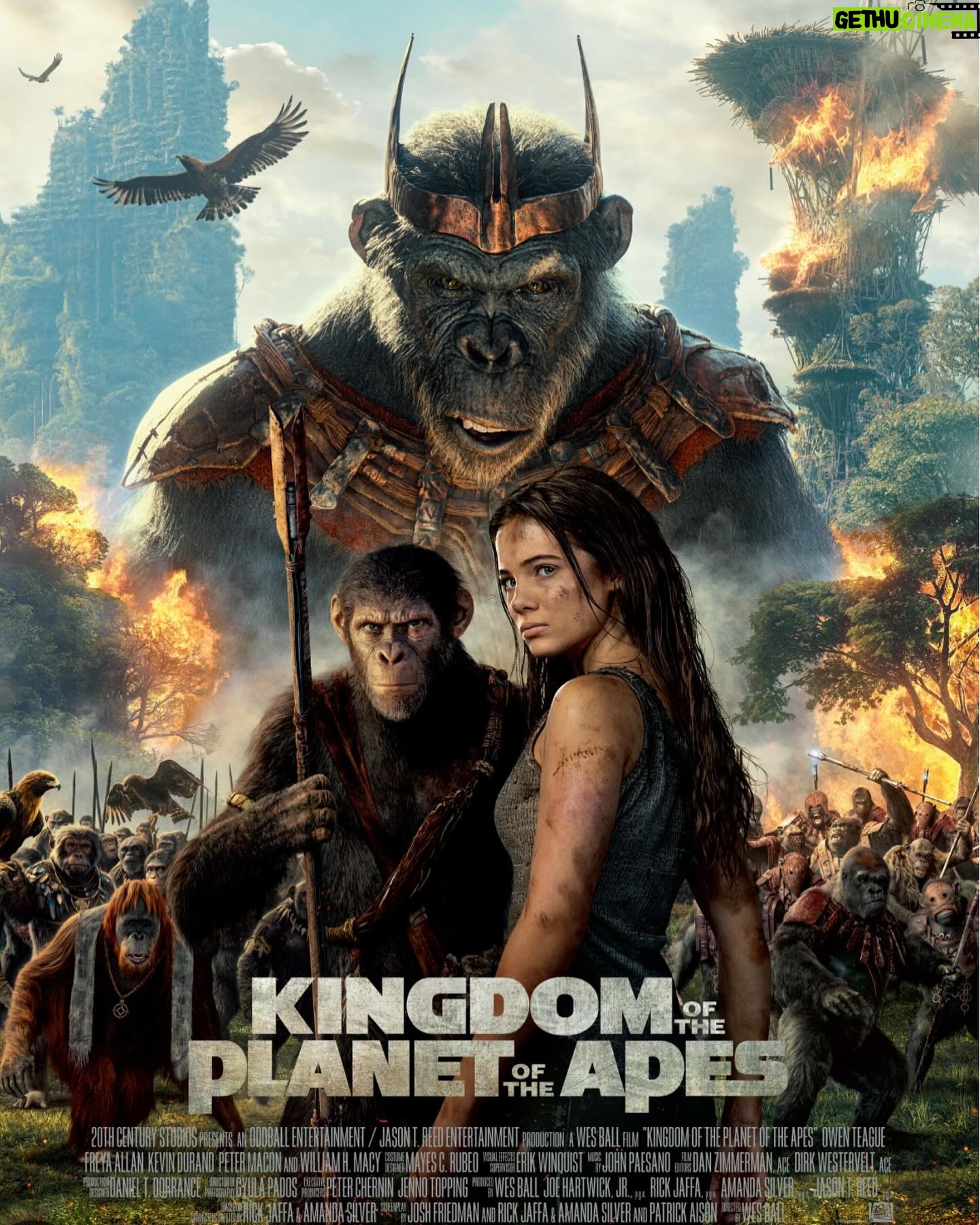 Milap Zaveri - 131 Likes - #KingdomOfThePlanetOfTheApes is Mindblowing!!! The vfx, action, emotion, scale, vision, everything is extraordinary! Watch it on the biggest IMAX screen near you and be prepared to be blown away! 🧨🔥😍