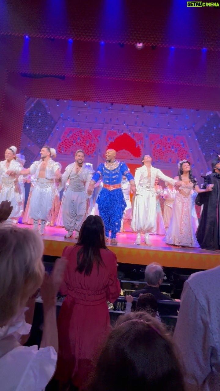 Milap Zaveri - 84 Likes - One of the best broadway shows I’ve seen!!! @aladdin 😍 What an amazing experience to see the magic with Mehaan and @abkhatau ❤️