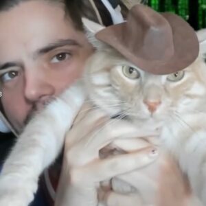 Miles Robbins Instagram - Get a cat
