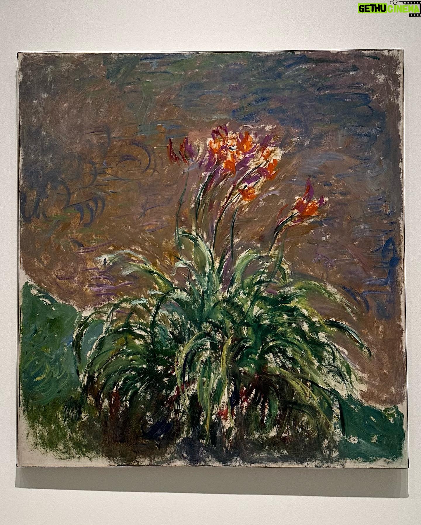 Mirela Mendoza - 3.5K Likes - Sunday ✨
#beextraordinary #paris #france #foundationlouisvuitton #monet