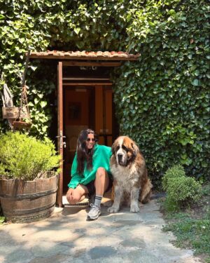 Miriam Rodríguez Instagram - 🌿 que Pongo se acabe convirtiendo en el 90% de mi galería, escribir canciones con los calcetines llenos de pelo rodeada de animales, leer con el sonido de los árboles y el atardecer de fondo, identificar constelaciones cada noche y los huevos de las gallinas de casa de @mambru_lopez …  la vida que quiero, la vida mejor y mi vida favorita. volver aquí siempre es casa. gracias Alber🫶🏼 en breve volvemos a la carga y con las pilas bien cargadas 🔋🥲🚀

🏡 @hotel_rural_la_posada