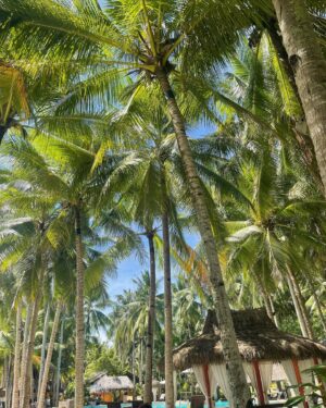 Miss Kay Instagram - They weren’t joking when they said “ it’s more fun in the Philippines “ because it was and always will be 😢 I miss the Philippines 🇵🇭