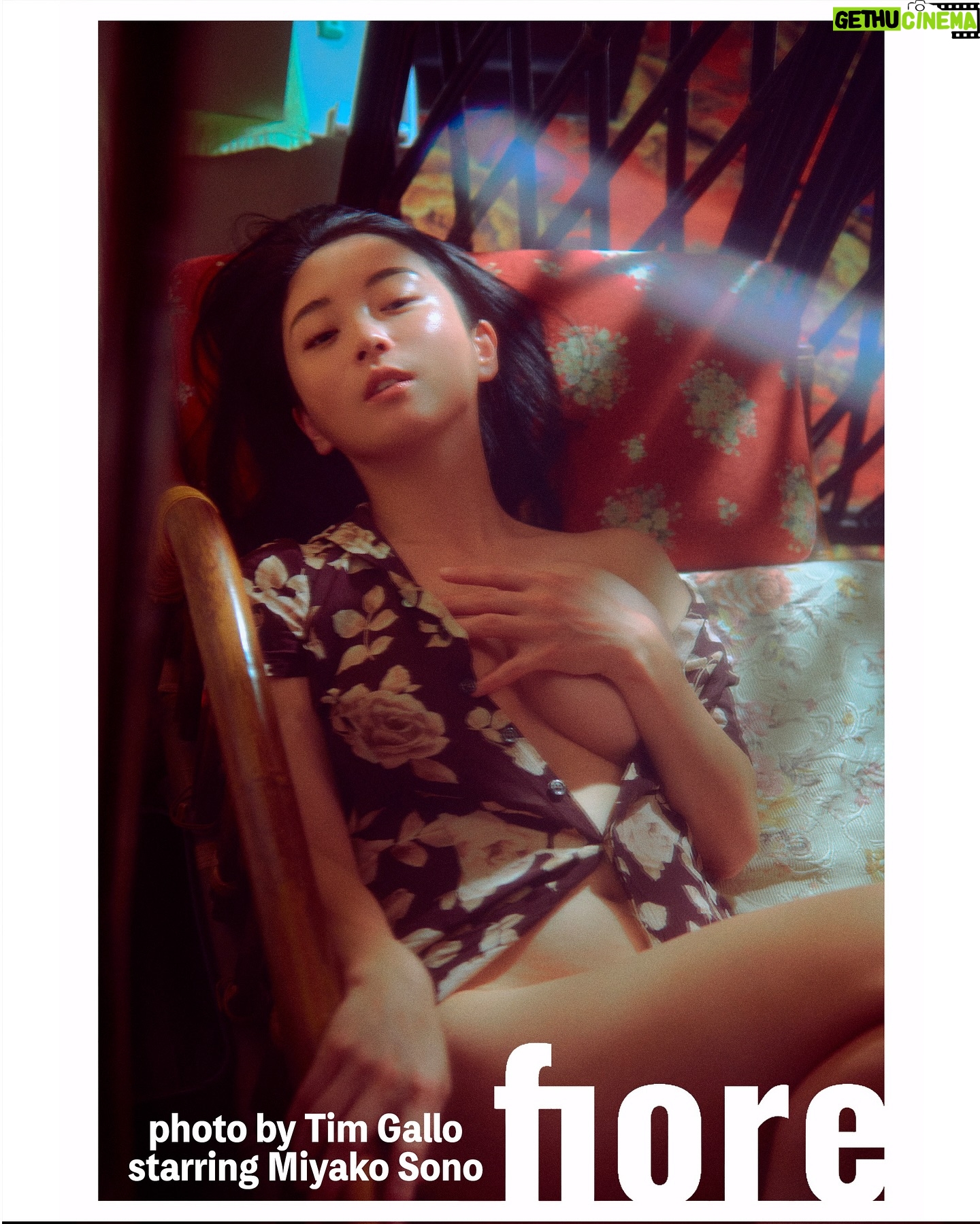 Miyako Sono - 11.8K Likes - Have you seen my work? It's a very special book. Be sure to check out the photo book!
There's a link to the book in the highlights.
#japanese #gravure #fineart #fineartphotography #japanphoto