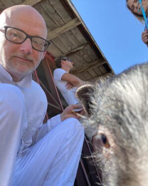 Moby Instagram - Sorry to brag but I just met Diego the tiny rescued baby pig! Bagel was fascinated, and Diego and Bagel might start a band together, as they are in love. @candicebergenbagel