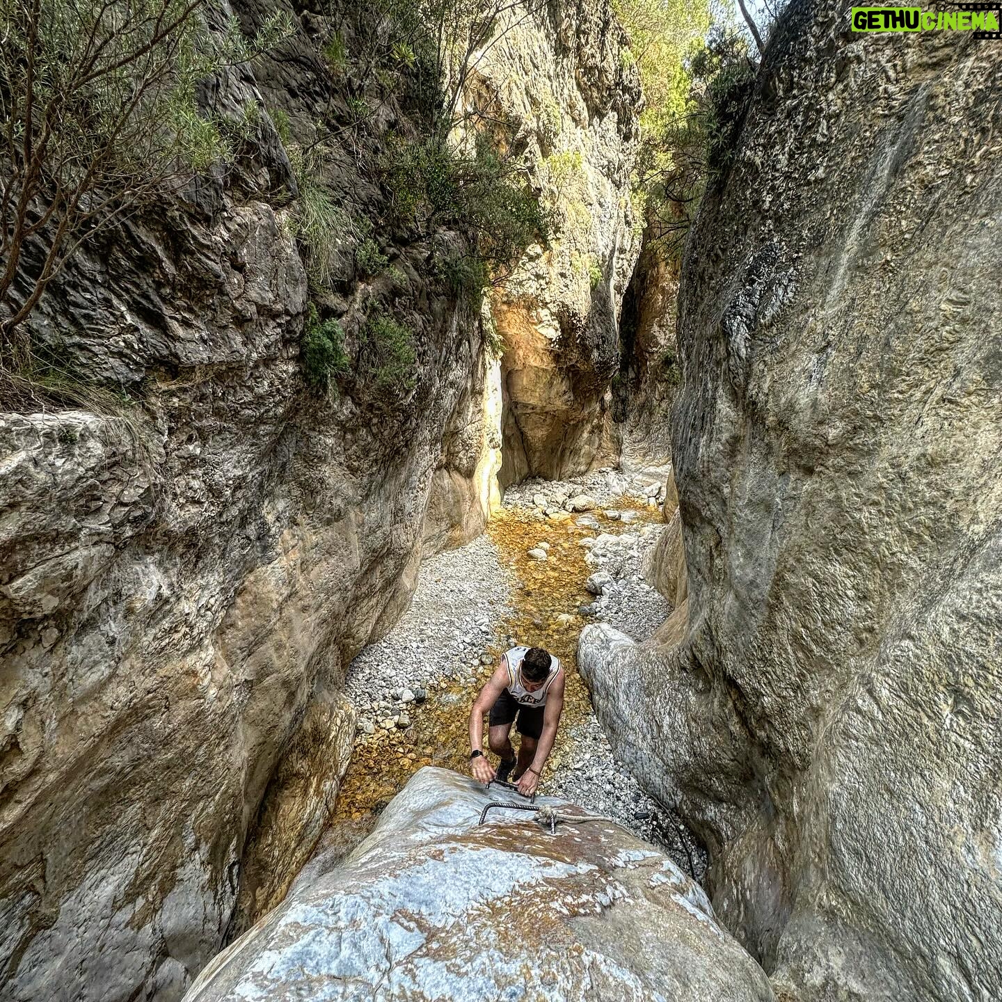 Moe Dunford - 899 Likes - 🇪🇸 🌱🌗⛰️
