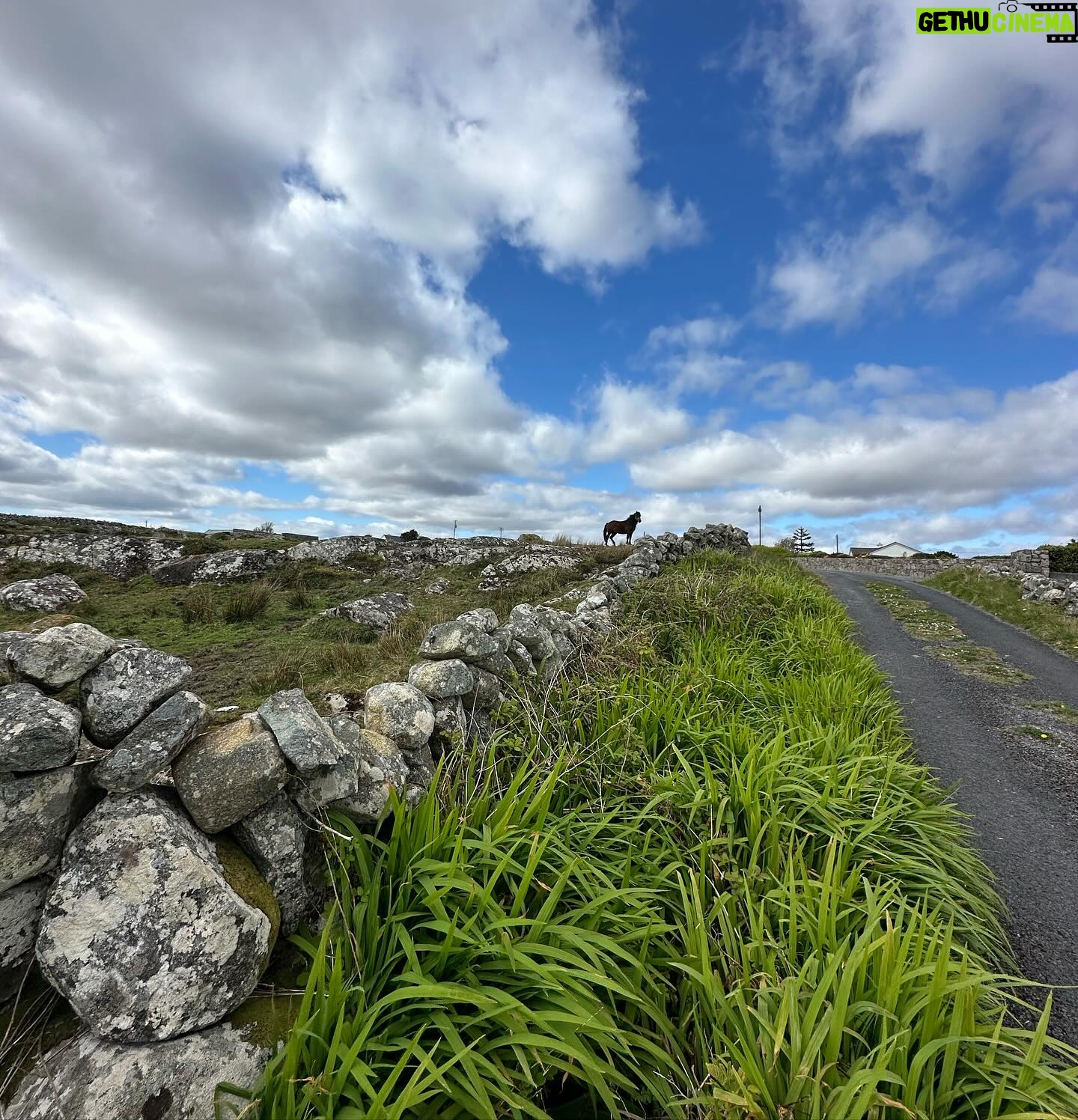 Moe Dunford - 867 Likes - Tóg go bog é, lovin the draíocht of the West
🍳☘️🎥🌿