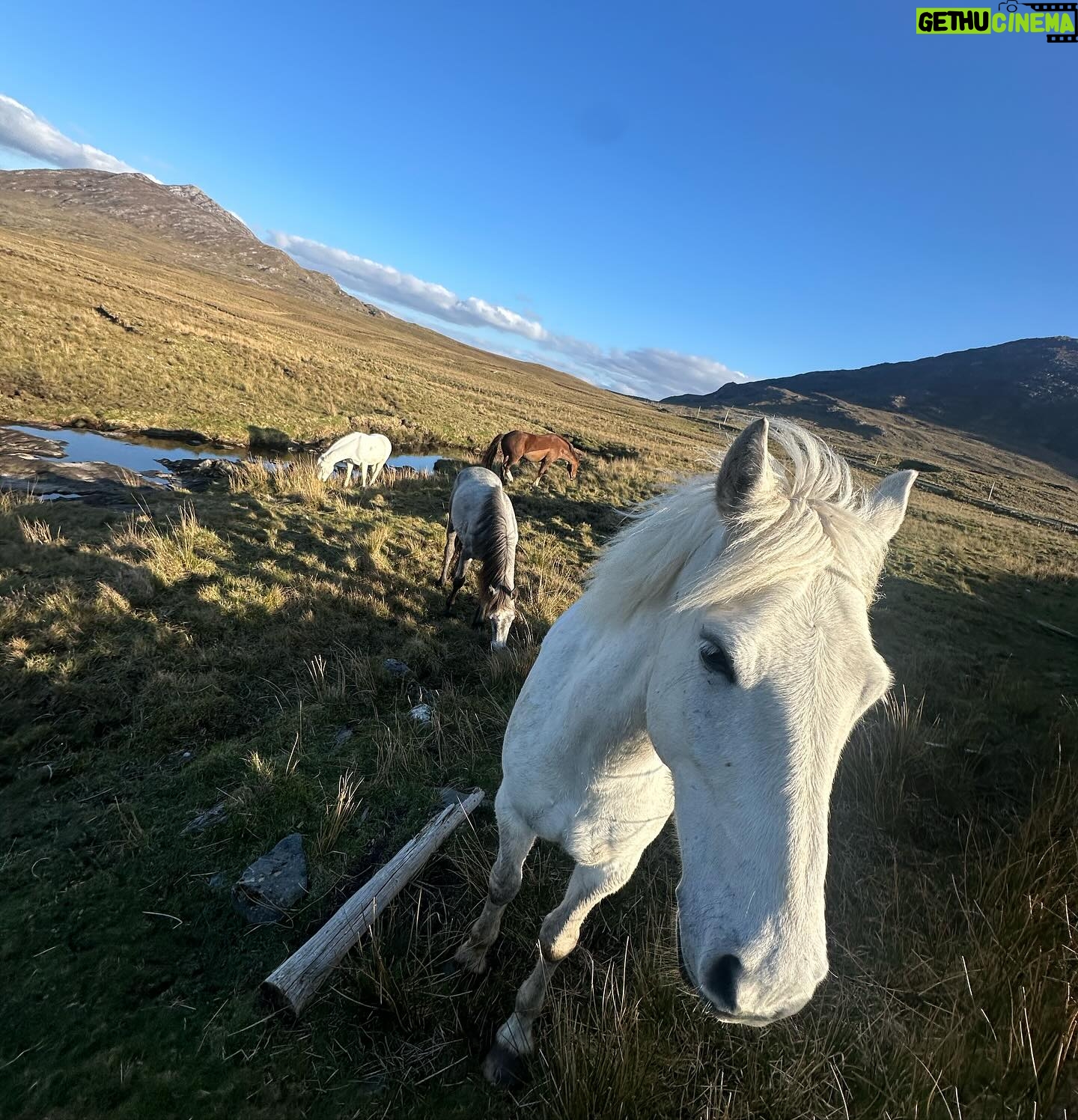 Moe Dunford - 867 Likes - Tóg go bog é, lovin the draíocht of the West
🍳☘️🎥🌿