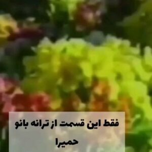 Mohammadtaghi Javadi Instagram - بانو حمیرا خواننده خوش صدای ایران درود بر شما ❤️

#ترانه_قدیمی #حمیرا #ترانه #موسیقی_ایرانی