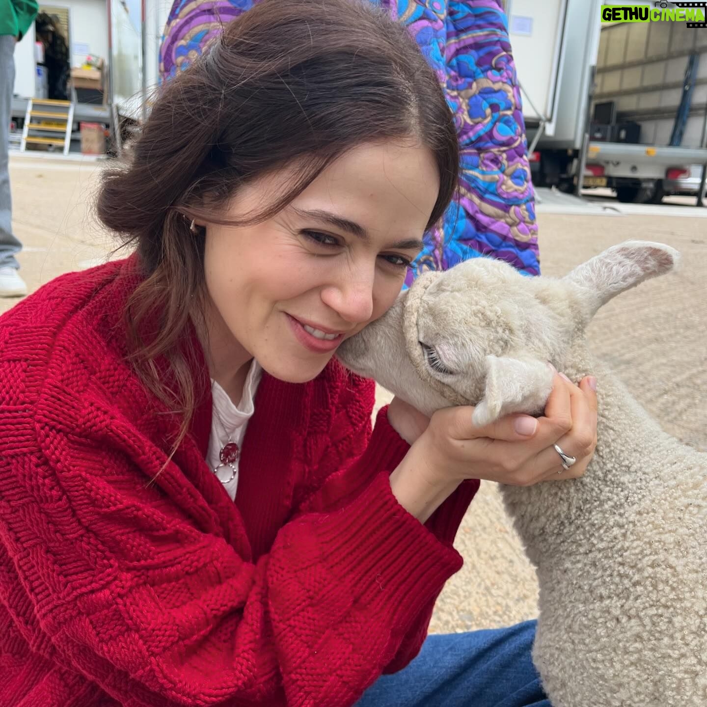 Molly Gordon - 63.8K Likes - ☀️☀️☀️☀️☀️