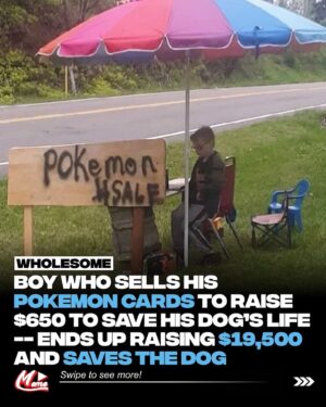 Monty Sopp Instagram - Role model in today’s world 🌎  great job kiddo you dropped this 👑  this is amazing to see and this gives hope 

This 8-year-old boy was willing to do whatever it takes to save his dog’s life, even if that means selling his most prized possession: his Pokémon card collection.

After a trip to their local vet, Bruce, the dog, was diagnosed with parvo — a contagious virus, which can be lethal if left untreated. The procedure needed to treat the pup cost around $700, which the family couldn’t afford.

According to the Washington Post, Bryson sold the cards for $5 - $10. However, once people got wind of his fundraiser through Facebook, they began to donate without expectation of Pokemon cards in return.

Although he initially set out to raise $650, Bryson has earned more than $19,000 through his fundraiser.

On May 10 2021, the family shared an update for those following their story, revealing that Bruce received his procedure and will survive!