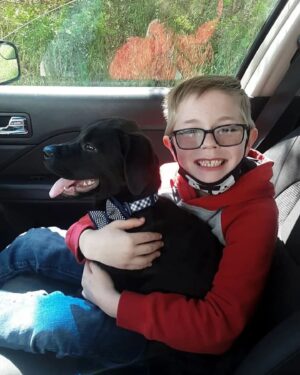Monty Sopp Instagram - Role model in today’s world 🌎  great job kiddo you dropped this 👑  this is amazing to see and this gives hope 

This 8-year-old boy was willing to do whatever it takes to save his dog’s life, even if that means selling his most prized possession: his Pokémon card collection.

After a trip to their local vet, Bruce, the dog, was diagnosed with parvo — a contagious virus, which can be lethal if left untreated. The procedure needed to treat the pup cost around $700, which the family couldn’t afford.

According to the Washington Post, Bryson sold the cards for $5 - $10. However, once people got wind of his fundraiser through Facebook, they began to donate without expectation of Pokemon cards in return.

Although he initially set out to raise $650, Bryson has earned more than $19,000 through his fundraiser.

On May 10 2021, the family shared an update for those following their story, revealing that Bruce received his procedure and will survive!