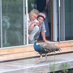 Moon Jae-in Instagram - 사저 마당으로 날아와 툇마루에까지 올라간 공작새. 아몬드 먹이로 공작새를 유혹하며 이 집의 '단골손님'으로 만들려는 주인장의 야심찬 계획. #통도사장경각에서날아온큰손님