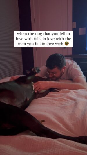 Morgxn Instagram - who rescued who? 🥹
.
.
.
.
.
.
.
.
.
.
#makeitout #makeitoutalive #newmusic #queersounds #queersouth #queerfolk #queerasfolk #queercouple #dogs #dogsbeingcute #folk #indiefolk #folkpop