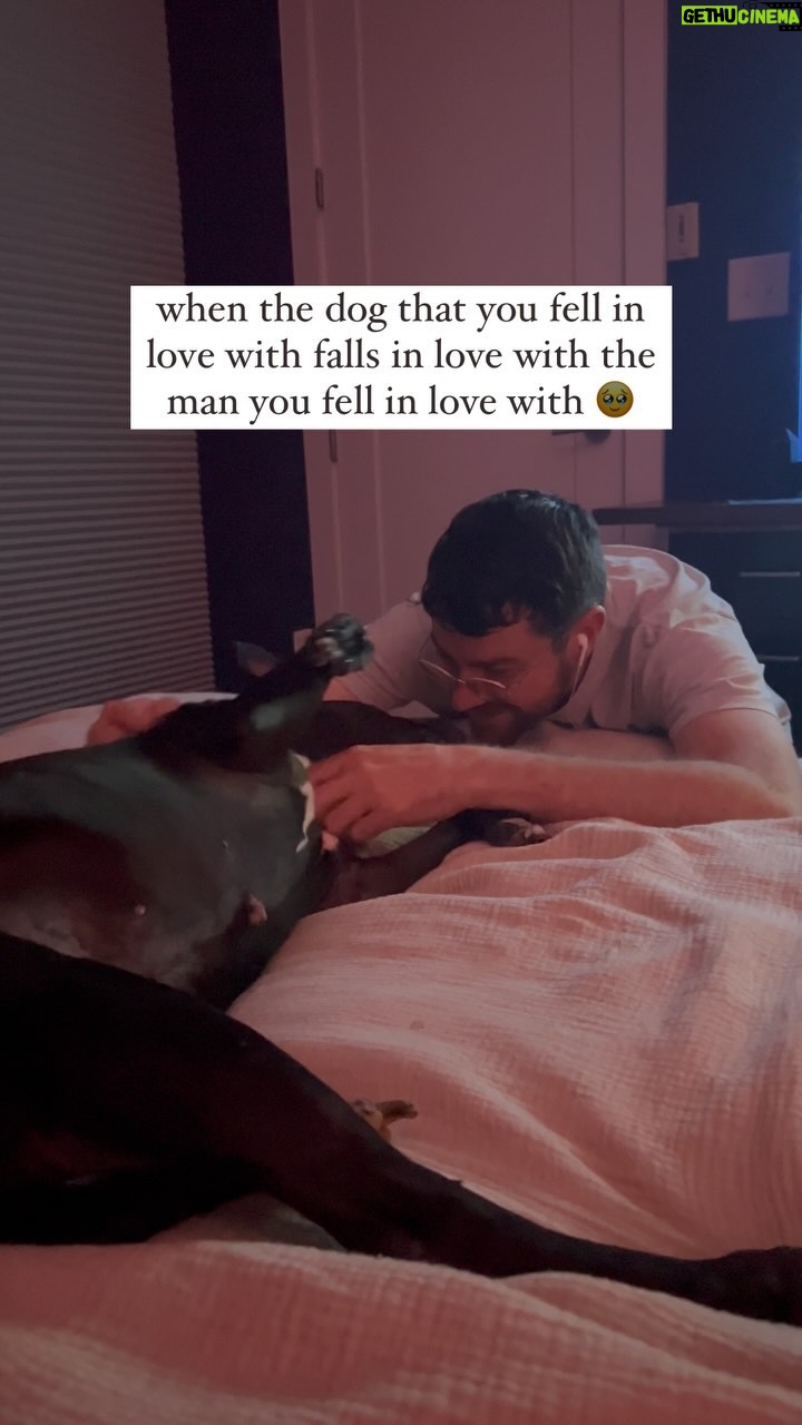 Morgxn - 3 Likes - who rescued who? 🥹
.
.
.
.
.
.
.
.
.
.
#makeitout #makeitoutalive #newmusic #queersounds #queersouth #queerfolk #queerasfolk #queercouple #dogs #dogsbeingcute #folk #indiefolk #folkpop