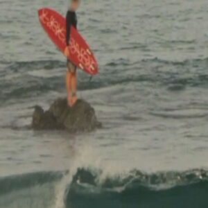 Mr. Paradox Paradise Instagram - Paradise🦜
Outtake of the move spiritual letters link in bio.

#surfing #trainsurfing #spiritualletters  #mrparadoxparadise #surf #architecture #photography