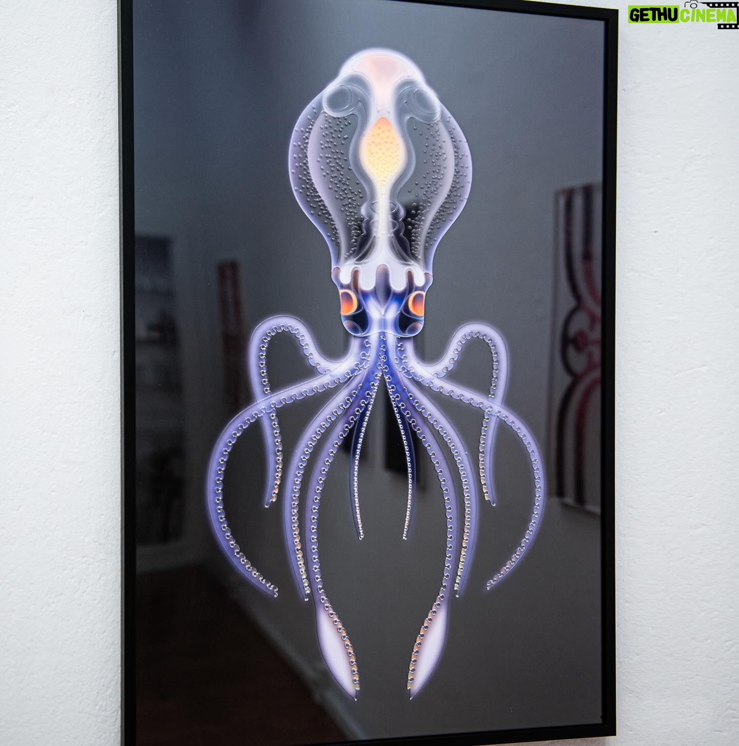 Mr. Paradox Paradise - 5K Likes - Exhibition tomorrow
„Ornaments“
@galerie.grolman
————————————
@nikakramer 📸
————————————
#berlin #gallery #art #resinartwork