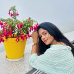 Mugdha Chaphekar