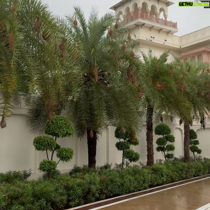 Namita Dubey - 36.7K Likes - A dip, a stroll, some searing clarity in the air & just unlaboured foliage all around. What more🦚 can I want!
Host and palatial Home @mementosbyitchotels_jaipur ✨
PR @khyathisolutions ✨
#hosted