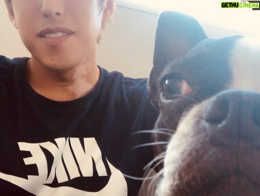 Naokiman - 5.9K Likes - リクエストの部屋公開や。
配置がおかしすぎるのと何か物足りん(笑)
センスいい人アドバイスくれ。
顎と姉の犬、ボストンテリア。
#naokiman #naokimanshow #インテリア #youtuber #bostonterrier #犬 #顎の部屋 #アゴハウス #ユーチューバー #ナオキマン #ナオキマンショー