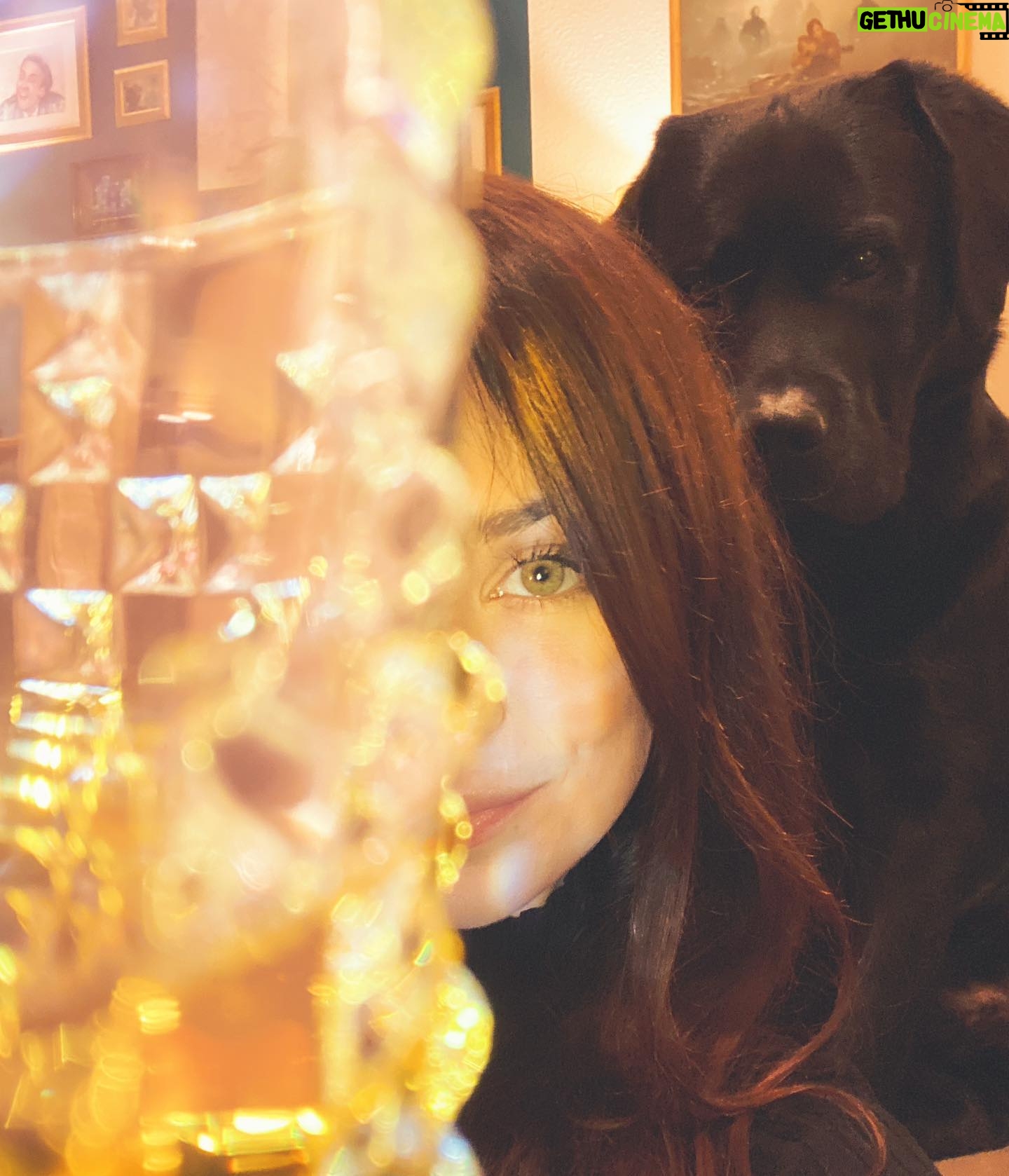 Nastassja Strobel - 8.7K Likes - Cheers ihr Lieben ❤️ und frohe Weihnachten euch allen!!
Hoffentlich kommt ihr dazu die Beine hochzulegen und was Gutes zu essen.
Ach so:
Kussis von Dean
Wir hängen jetzt weiter auf der Couch ab (mit Nicolas Cage)
Schöne Feiertage ✨