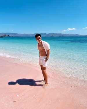 Nat Sakdatorn Instagram - Would you like to have some pink today?

#pinkbeach #komodo #indonesia
