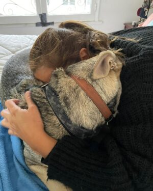 Natalia Valdebenito Instagram - Hace 3 años y un día como hoy llegó Lauryn a mi vida. A nuestras vidas. Lo cambió todo para siempre y seguro es la decisión más irracional y hermosa que he tomado para mi corazón. Nunca más dormí temprano, nunca más los muebles ni la casa estuvieron en orden, nunca más el tiempo fue mío, cualquier planificación pasa por pensar en su vida y luego en la nuestra. Nunca mas me sentí sola. Nunca fui más niña que ahora. Nunca fui tan feliz amando así. 
Cuidarla es un desafío, pero no es más difícil que pensar la vida sin ella. Cuidarla es una misión que me tomo muy en serio. Nada me importa más que ella esté tranquila, feliz y sanita. 
Amo que sea regalona e independiente, @lucianofrancino dice que se parece a mí y me gusta pensar que es así. Fantaseo con eso. Sé que nos entendemos, que la miro y veo lo que pasa y si me demoro ella me da la señal para que la entienda. Hablo con ella, a veces se latea, y otras me da la solución y me saca a pasear para que tome aire y se vayan los fantasmas. 

Si a alguien le sorprende está declaración de amor los entiendo. En Netflix salgo diciendo y mirando a la cámara que “no me gustan los animales”, pero en otro show: “FEA”, cuento la historia completa y cuando publiquemos el show (pronto) entenderán que pasó. 

Agradezco al destino, a ese día que la idea apareció y corrimos a buscarte, a tu mirada fija siempre en mis ojos, a tu cuidado cuando andamos en la calle y le ladras a todos los hombres que pasan por nuestro lado. Al amor que sacas de mí. A esta otra yo. Porque Lauryn llegó para enseñarme a amar y a decirme que puedo ser siempre distinta, que puedo amar intensa e irracionalmente. 
Gracias mi titita, mi perrita Preciosura, Lauryn Hill de mi vida toda. Te amo. ♥️👑

… sí, en el video que subí la mordí yo, y bueno .. no lo entenderían 🥹😅