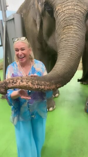 Nataliya Gulkina Instagram - После фееричного  представления радость не отпускала и за кулисами!!!Боже как же я люблю животных😻🐘🪿🐅🦜🐈‍⬛🐈🐕🐩🐕‍🦺🦛🐅🦭🦁🎉🎉🎉какие же они дарят нам эмоции -это не возможно выразить словами!! Всё на лице!! Счастье!!! И просто невероятный восторг!🎉🎉🎉

#гулькина #гулькинанаталия #гулькинанаталья #слоны #цирк #поцелуй#животные #идол#природа #жизнь #эмоции #эмоциизашкаливают