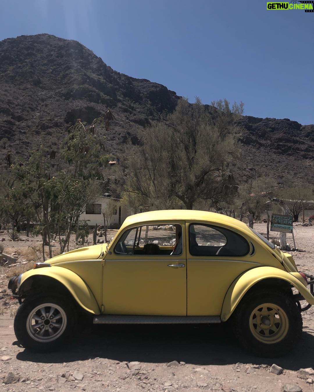 Natas Kaupas - 2.5K Likes - Got to see a real life Baja Bug in Baja! Thanks @graywhalegin