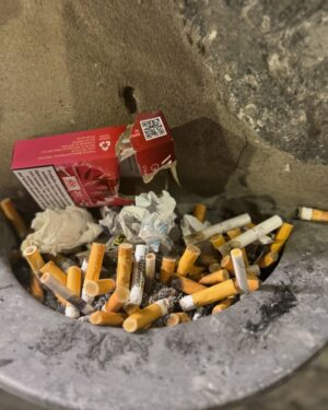 Natasha Leggero Instagram - Thank you Sicily for the cute babies and even cuter cigarettes