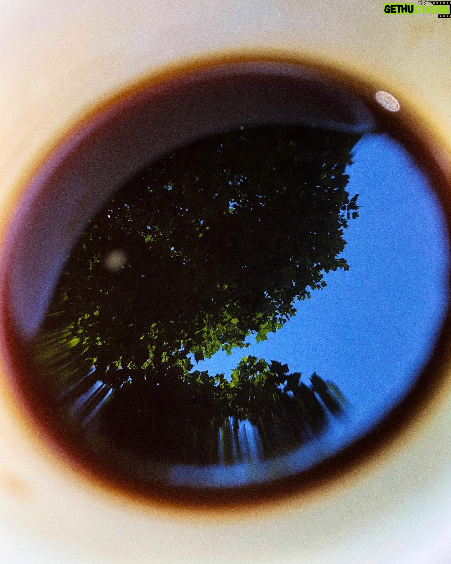 Nathan Naenen - 8.8K Likes - Reflections in coffee