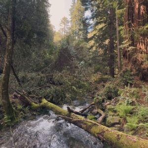 Nathan Owens Instagram - A few excerpts from life lately …