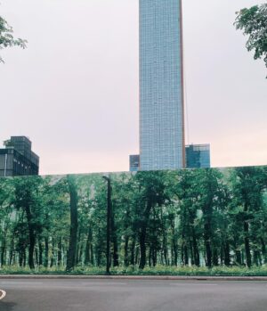 Nawapol Thamrongrattanarit Instagram - a big tree .