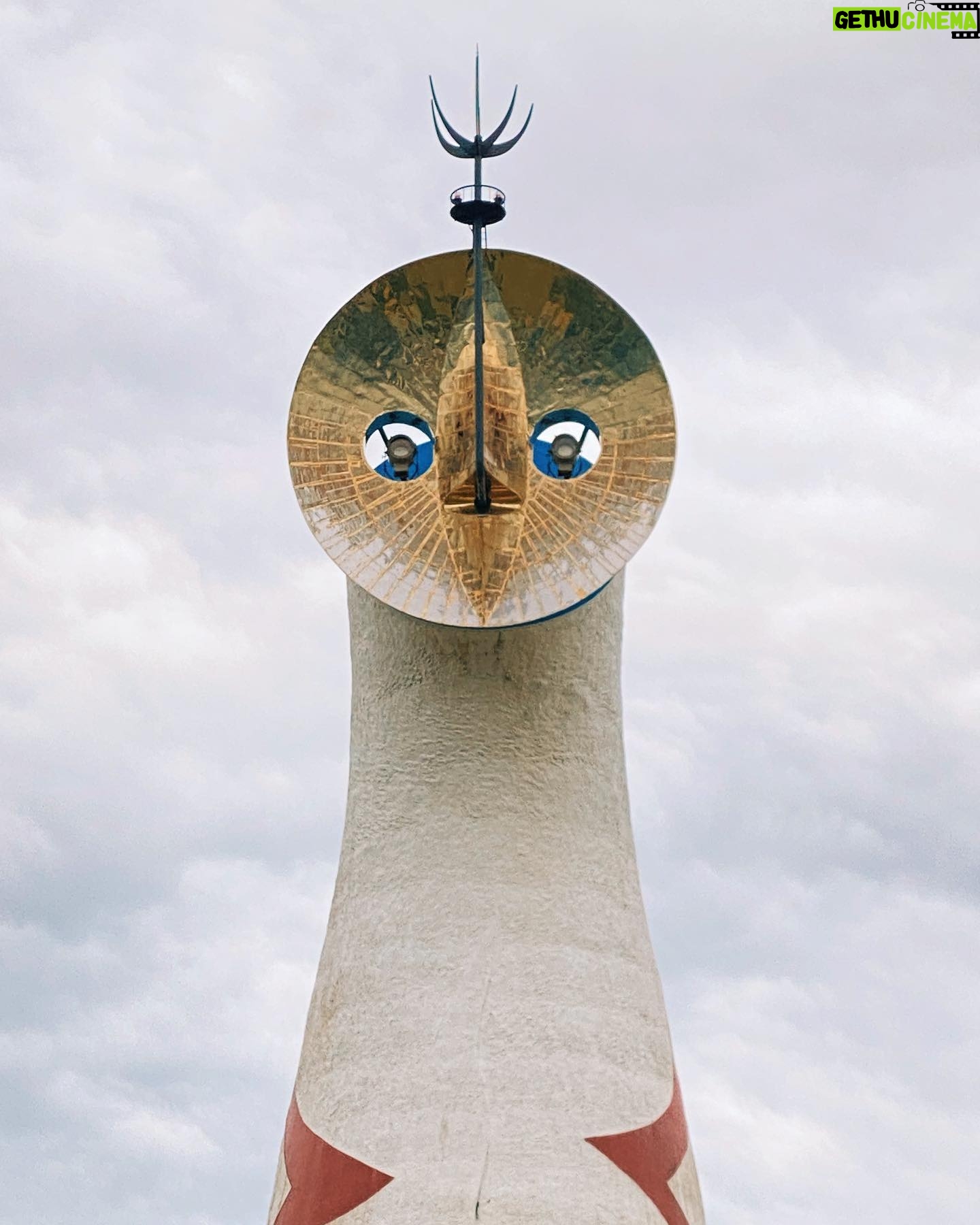 Nawapol Thamrongrattanarit - 1.3K Likes - the angry sun .
tower of the sun , osaka
#osaka