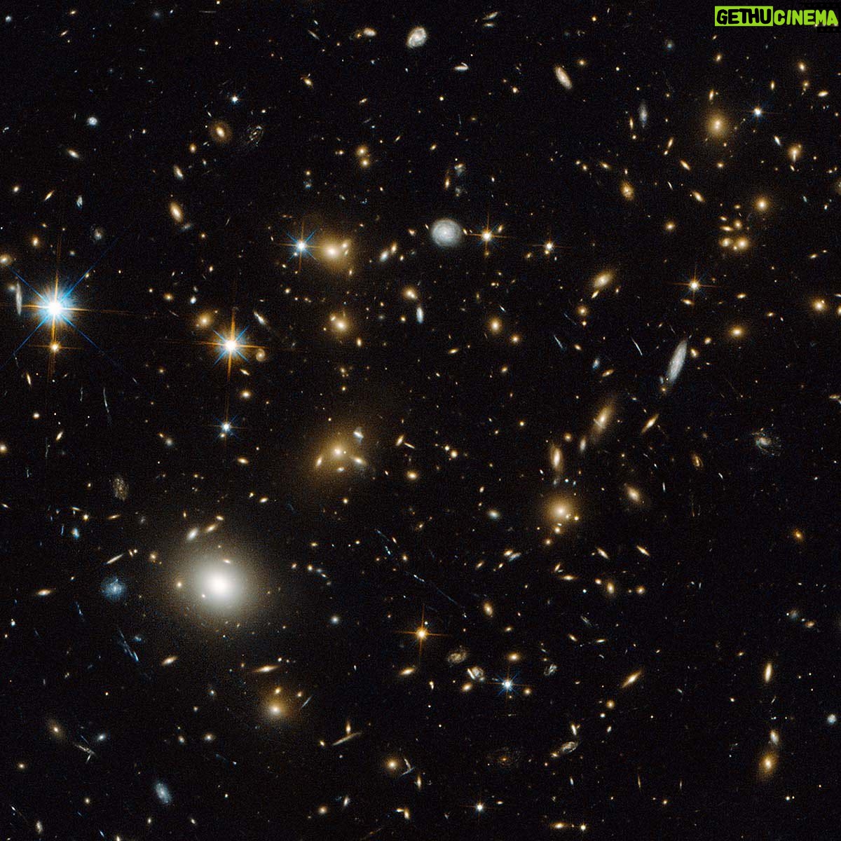 Nawapol Thamrongrattanarit - 1.2K Likes - ภาพอวกาศในวันเกิดเรา
NASA ทำเว็บไซต์แจกภาพจากกล้องโทรทรรศน์อวกาศ hubble ที่ถ่ายภาพอวกาศกาแล็กซี่อยู่ทุกๆวันตลอดเวลา โดยเราสามารถกรอกวันเกิดของเราลงไป แล้วเขาจะเอาให้ดูว่าวันเกิดเรานั้น กล้อง hubble ภาพอวกาศแบบไหนเอาไว้ , อันนี้คือของข้าพเจ้าเอง , อวกาศใน 4 กุมภา สวยเลย / ลองที่นี่ https://science.nasa.gov/mission/hubble/multimedia/what-did-hubble-see-on-your-birthday/
