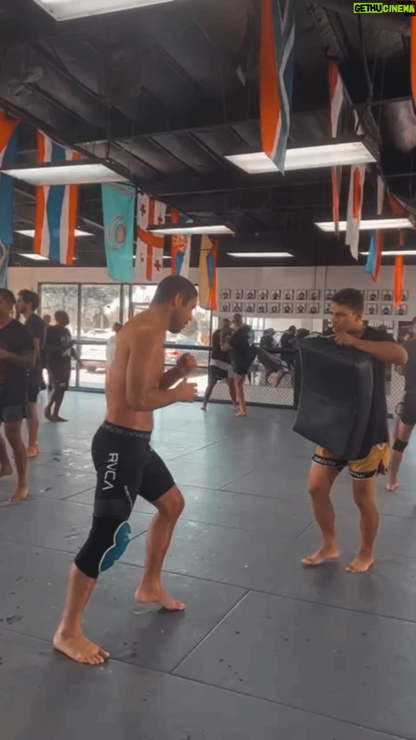 Neiman Gracie - 3 Likes -