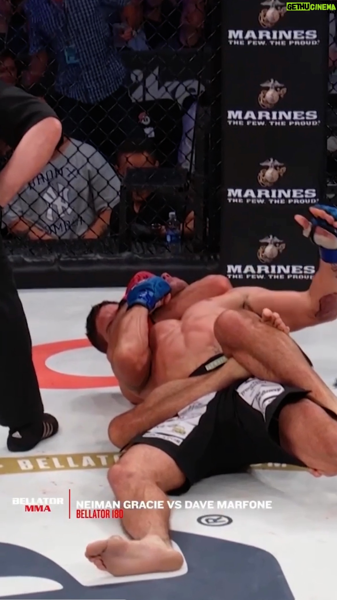Neiman Gracie - 3 Likes -