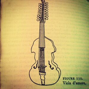 Nicholas Britell Instagram - Viola d'amore