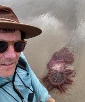 Nicholas Kristof Instagram - Backpacking the Oregon Coast Trail with my wife and daughter today, I came across this three-foot long jellyfish, still alive. There were about a dozen of this kind of jellyfish washed up over a couple of miles of deserted beach south of Cape Lookout. Anyone know what kind it is?