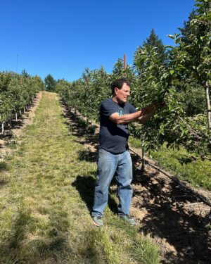 Nicholas Kristof Instagram - Happy World Cider Day, from our cider apple orchard! The bees did their pollination very well, and it looks as if we’ll have a good harvest this fall. We also are going to launch three of our 2022 ciders next weekend at a party in Portland, so if you’re in the area do swing by (RSVP first on kristoffarms.com). One of the new ciders is a Pinot Noir co-ferment, and it’s delicious!! More info on the @kristoffarms website. People sometimes wonder why I mess with farming and cider, and I think there are two reasons. First, I don’t paint or do music, so creating great cider is my artistic outlet. Second, I love my column but it’s sometimes like shouting in the wind. On the other hand, if an apple tree is leaning precariously, I can stabilize it and the problem is solved in an instant. Very satisfying!!