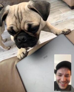 Nick Fink Instagram - FaceTime with Vill and Dexter.