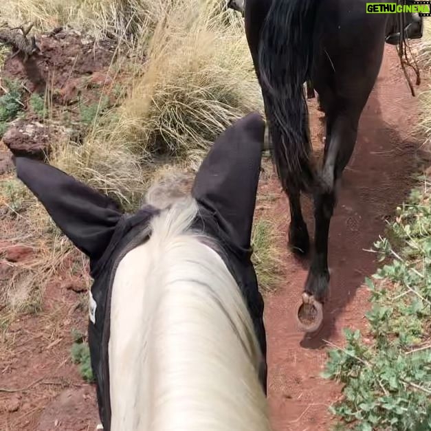 Nick Fink - 4.6K Likes - Insanely pretty ride with my mom and Luna and Walker :)