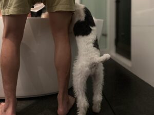 Nikki Hsieh Instagram - 我的八月
依舊充實
希望我的天堂鳥三個月後能有一番作為
🫠