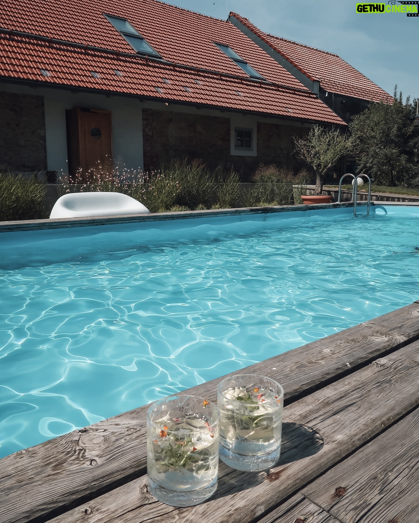 Nikol Švantnerová - 3 Likes - Poslední střípky z našeho třídenního relaxu🌲🫧🌿
1. Plavky, na které jste se ptali z @reserved
2. Relax v přírodě!
3. Bazén, u kterého jsme byli nonstop.
4. Ano, opravdu nonstop😁🫧
5. Gastronomie 12/10! Bylo to dokonalé!
6. Víno ze sklenic a místní sklárny.
7. Prostě @zikmundov 🌿
8. 🍷🤍
9. Dokonalé výhledy z postele si tu užívala i Miunka.
10. Spoko Nikouš🫶🏼