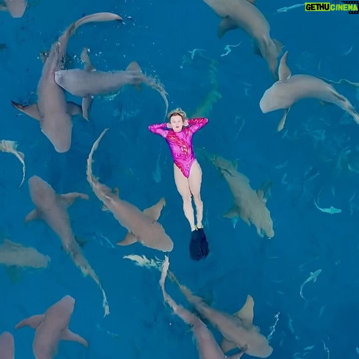 Nikola Mertlová - 35.8K Likes - život >